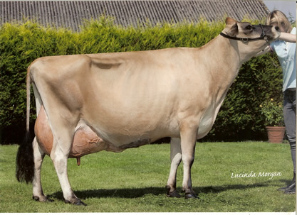 bluegrass duckworths maiden